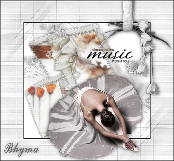 cisne