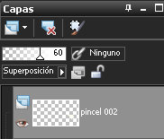 capas