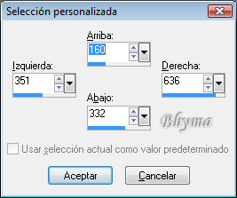 seleccion personalizada