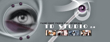 tdstudio