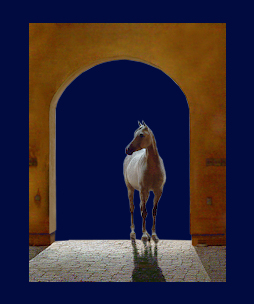 caballo