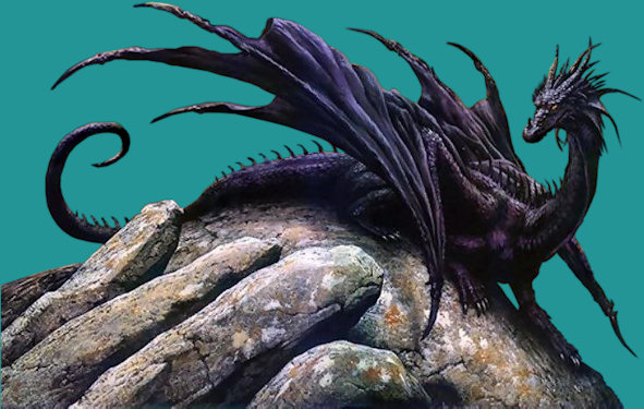 dragon negro