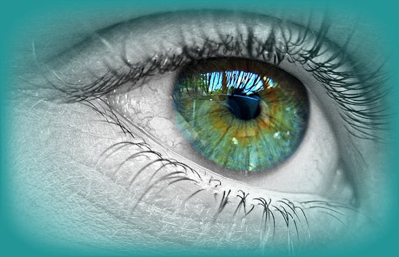 misted ojo