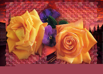 rosas naranjas